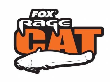 Fox Cat