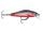 RAPALA SHADOW RAP SOLID SHAD 05 RBS Red Belly Shad