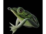 Jenzi "The Prinz" Realistic Frog 5,5 cm/18 g...