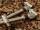 Solar P1 3-Rod Buzzer Bar Front