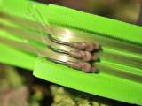 Korda Ready Tied Zig Rigs 10 / 300 cm / Size 10