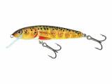 Salmo Minnow Floating 5 cm Trout