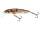 Salmo Minnow Floating 7 cm Wounded Dace
