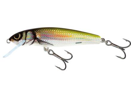 Salmo Minnow Sinking 7 cm Holo Bleak