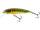 Salmo Minnow Sinking 7 cm Holo Real Minnow