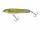 Salmo Sweeper Sinking 10 cm Real Pike