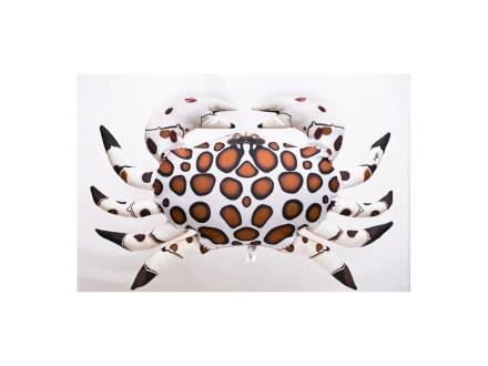 Gaby Calico Crab / Calico Krabbe Medium 60cm