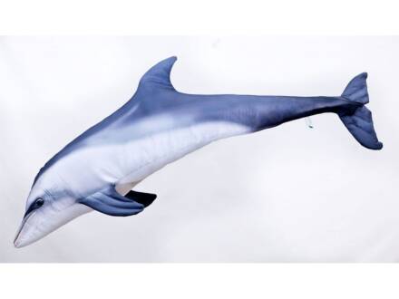 Gaby Bottlenose Dolphin / Großer Tümmler Delfin Grau Giant 125cm