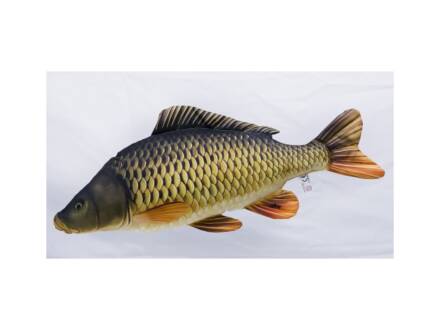 Gaby Common / Schuppenkarpfen Carp Giant 100cm
