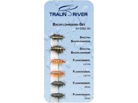 Traun River Bachflohkrebs Set