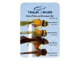Traun River Super Forellen Streamer Set