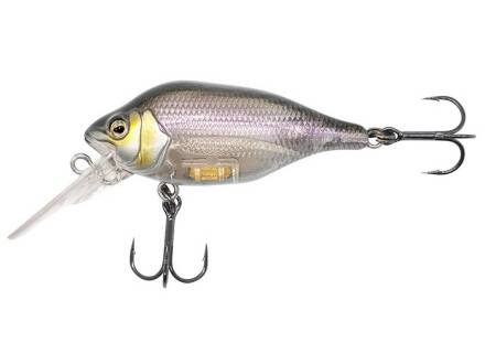 Fox Rage Funk Bug 50mm DR