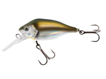 Fox Rage Funk Bug 50mm DR - UV Real Shiner