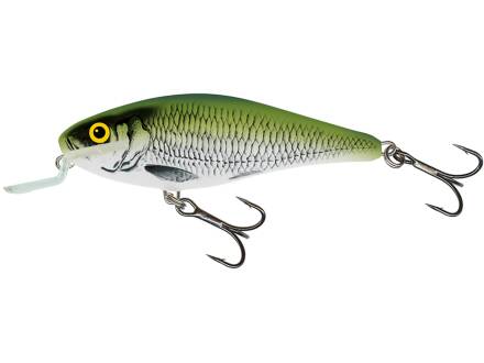 Salmo Executor Shallow Runner 5 cm Olive Bleak