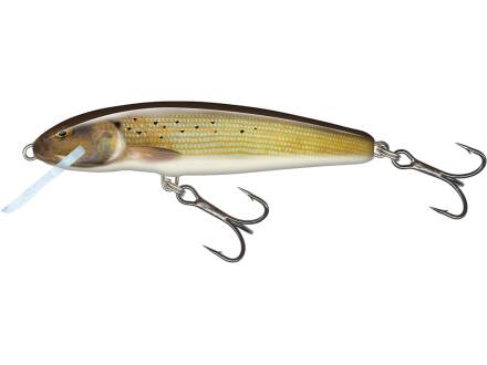 Salmo Minnow Sinking 7cm Grayling