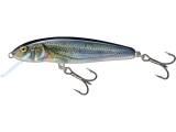 Salmo Minnow Sinking 7cm Spirlin