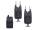 SAENGER Carp Voice R-4 Set 2+1