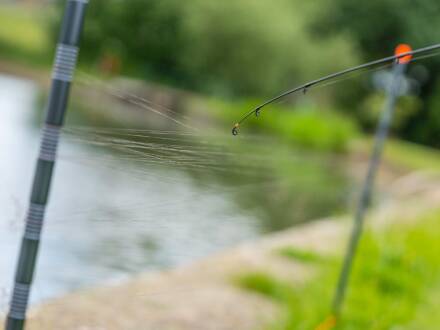 Guru Distance Sticks