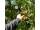 Ridge Monkey Outdoor Power Shower Full Kit 10L