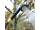 Ridge Monkey Outdoor Power Shower Full Kit 10L