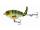 River2Sea Whopper Plopper 75 Fatbody Style