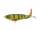 River2Sea Whopper Plopper 110 Perca