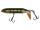 River2Sea Whopper Plopper 190 Perca