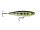 Rapala Precision Extreme Pencil 107 PEL