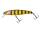 ILLEX ARNAUD 100 F Zander Perch