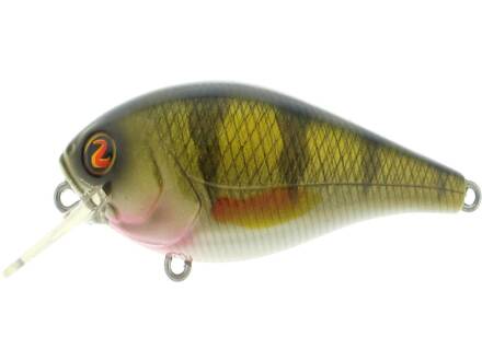 River2Sea Biggie 67 BR 09 Real Perch