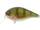 River2Sea Biggie 67 BR 09 Real Perch
