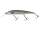 ILLEX RERANGE 110 SP Mullet