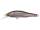 Megabass X-80Jr. 6.5cm FA GHOST WAKASAGI