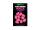 Korda Slow-Sinking Maize IB (Pink)