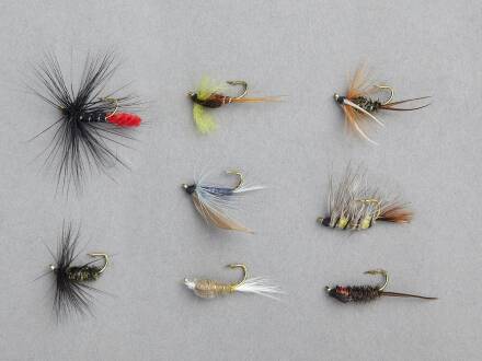 Balzer Nassfliegen und Nymphen-Sortiment 8 Stk.