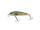 Salmo Minnow Sinking 5cm Lake Charr