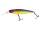 ILLEX SQUIRREL 61 SP Table Rock Tiger