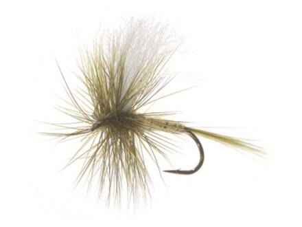 Unique Flies AURIVILLII OLIVE DAIICHI 1180 #12