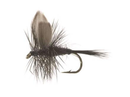 Unique Flies BLACK GNAT BLACK TMC 100 #12