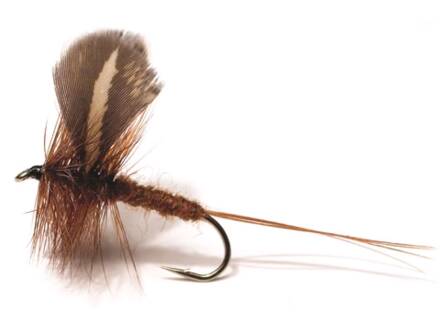 Unique Flies ROCKEN DARK BROWN DAIICHI 2220 #10