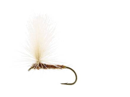 Unique Flies AURIVILLI DUN GINGER TMC100