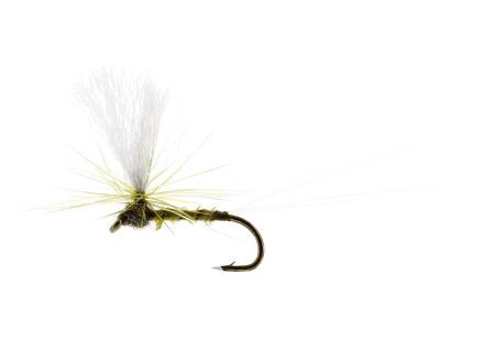 Unique Flies BAETIS DUN BIOT OLIVE TMC100