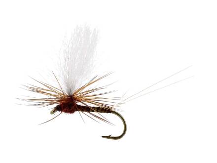 Unique Flies MARGINATA DUN QUILL BROWN TMC100