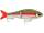 RAPALA SUPER SHADOW RAP GLIDE 11 RTL