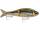 RAPALA SUPER SHADOW RAP GLIDE 11 SMB