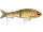 RAPALA SUPER SHADOW RAP GLIDE 16 TRL