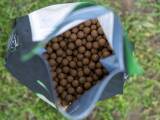 Nash Bait Monster Shrimp Boilies 12mm 5kg