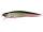 MEGABASS FX9 SW M KATAKUCHI RB