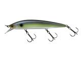 Illex Jackall Rerange 110 SP Pearl Sexy Shad