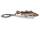 Aquantic Beauty Cod-Dorsch Keychain